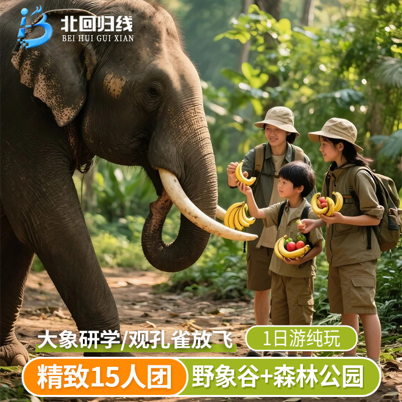 云南西双版纳野象谷+原始森林公园一日游-15人精品团真纯玩不进店 - 定制游预订