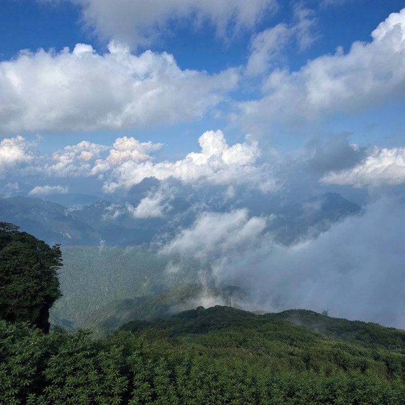 贵州贵阳黄果树小七孔西江千户苗寨梵净山7日游 - 定制游预订