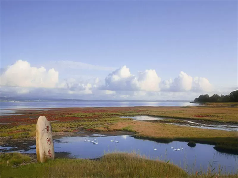 黄河三角洲生态文化旅游岛图片