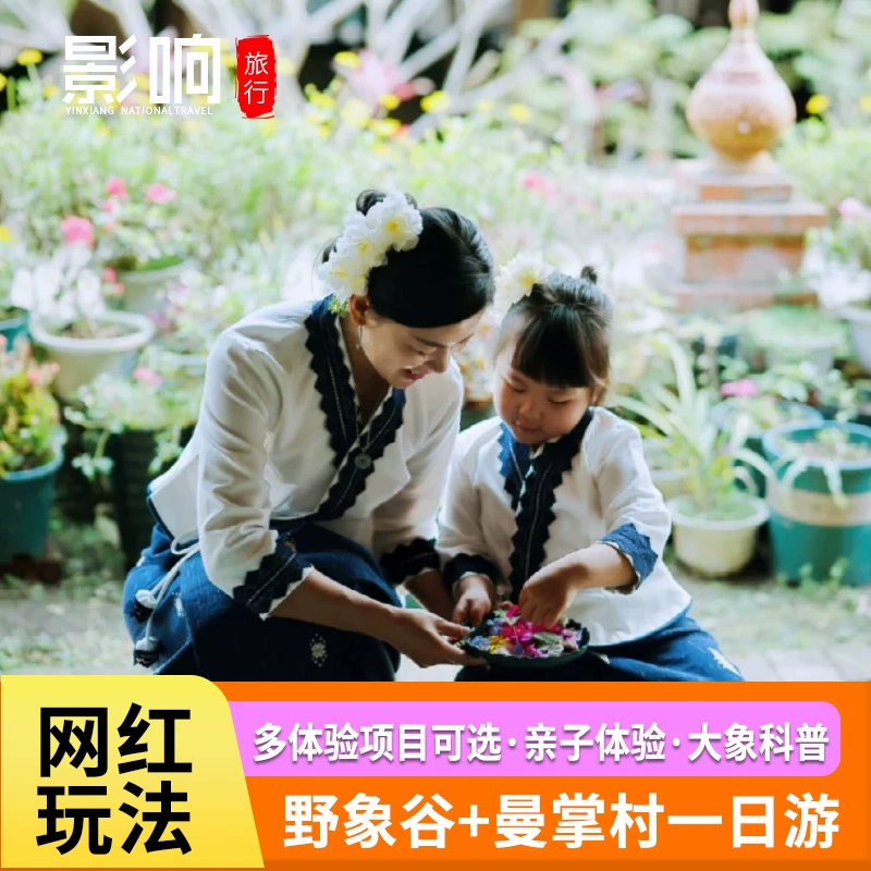 野象谷+曼掌村一日游【亲子首选/可选非遗体验/一单一团/晚出发】 - 定制游预订