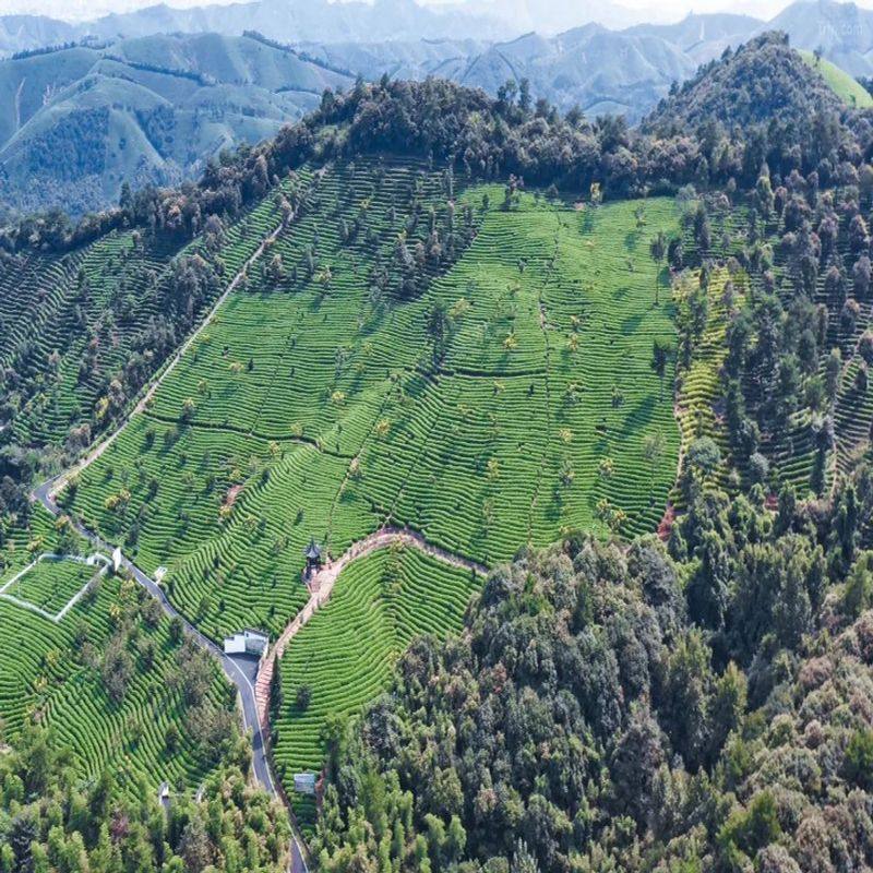 安吉涵田度假村1晚+双早+双人温汤+双人博物馆门票+汉服体验+恒温泳池 - 定制游预订