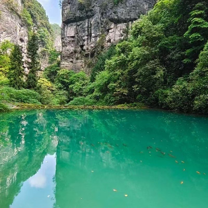 武隆 龙水峡地缝/武隆天生三桥风景区/ 武隆乌江画廊一日游 - 定制游预订