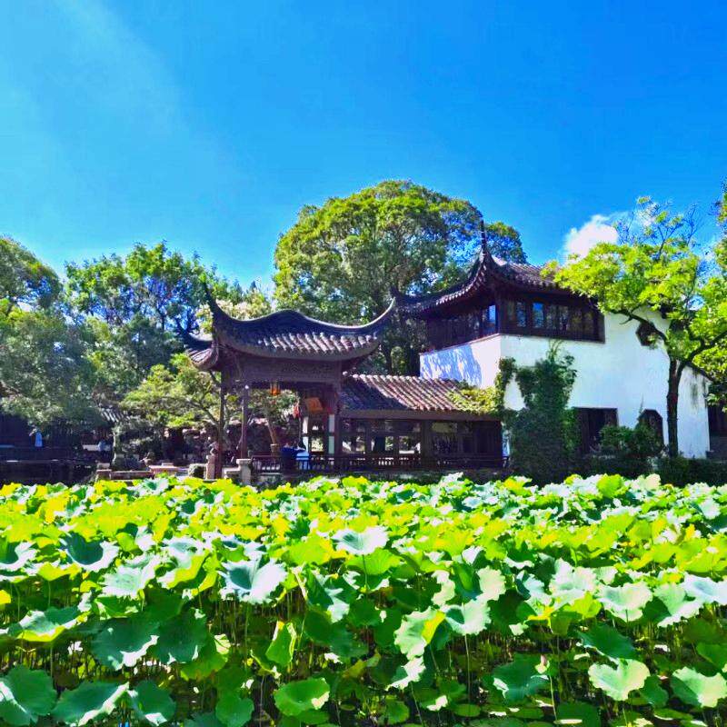 苏州拙政园+寒山寺+枫桥景区+山塘街一日游【漫游旅行】 - 定制游预订
