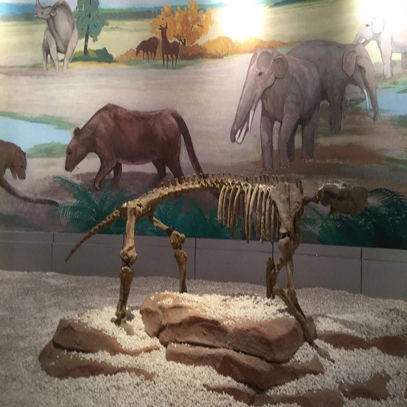 【南京出发】苏州拙政园+南京总统府+中山陵2天1晚跟团游 - 定制游预订