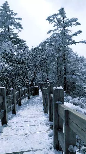 九瀑一线天图片