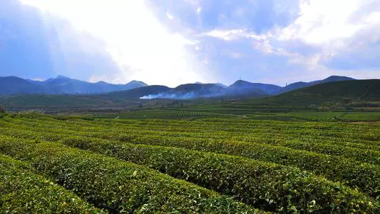 茶山风景区图片