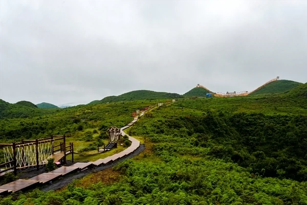 百里杜鹃跳花坡景区图片