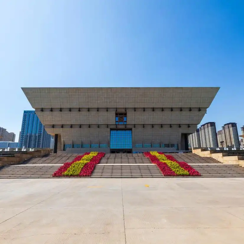 洛阳博物馆2小时资深导游讲解+可代约门票 - 定制游预订