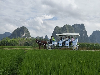 英西峰林·茶马驿道图片