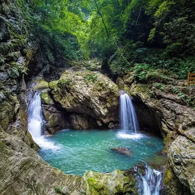 【双人套餐】万盛白玉兰酒店2天1晚+黑山谷+万盛石林+双早