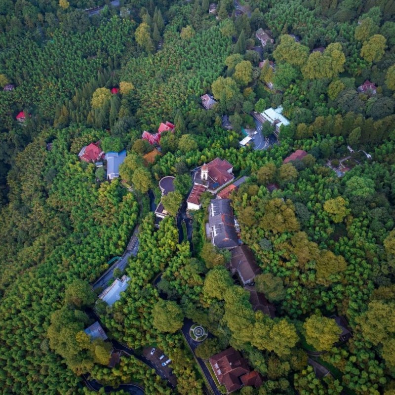 【可开车上山】景区内莫干山芦花荡饭店+双人莫干山风景区2日票+下午茶