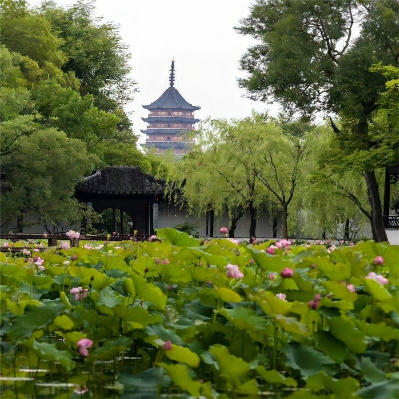 拙政园+寒山寺+姑苏水上游+虎丘+山塘街一日游【乐游旅行】 - 定制游预订