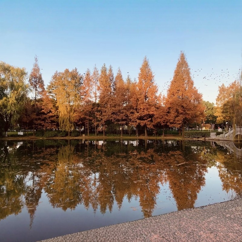 【乐享】长沙高端品牌连锁酒店2天1晚自由行+岳麓山+橘子洲