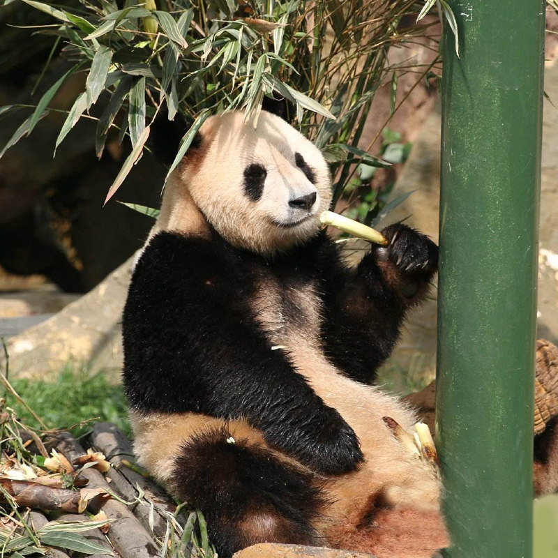 周末不加价!杭州御湘湖度假酒店+长乔极地海洋世界/野生动物园