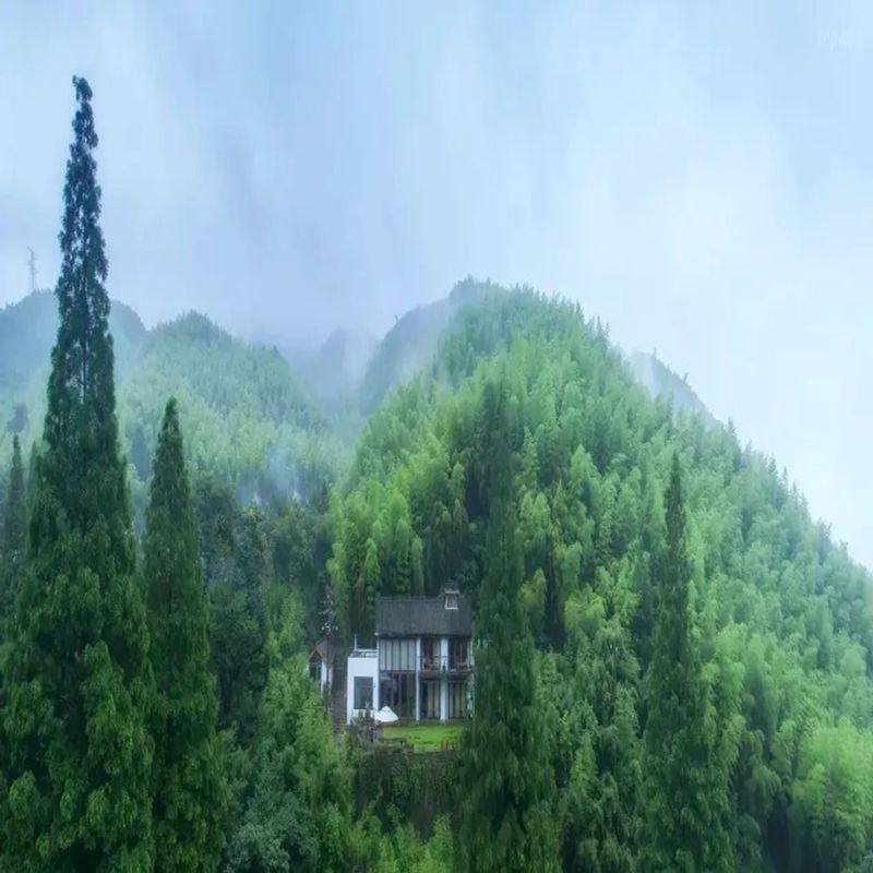 大乐之野(莫干山碧坞店)2晚+双早+欢迎水果+晚安甜汤+管家服务