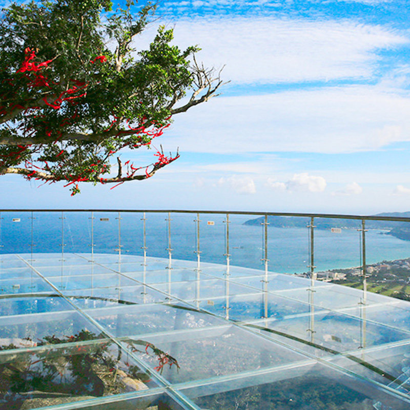 8-21人纯玩小团亚龙湾热带天堂森林公园海南三亚一日游含接送套票