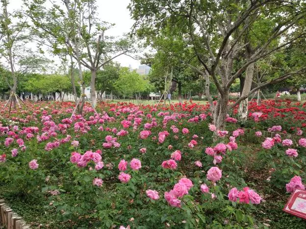 海虞雕塑广场图片