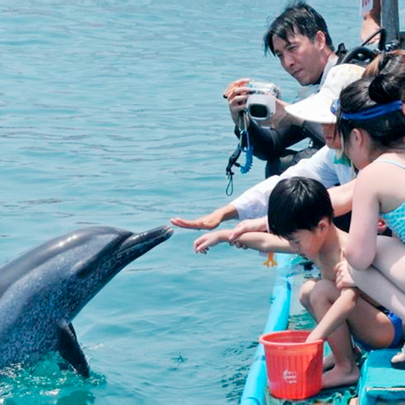 【暖冬】3天2晚三亚绿杉壹居度假酒店含双早+专车接或送机+蜈支洲岛门票电瓶