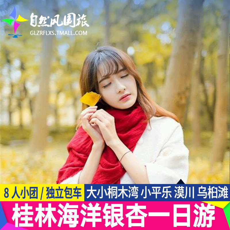 桂林旅游海洋乡银杏大小桐木大圩漠川小平乐一日游包车 - 定制游预订