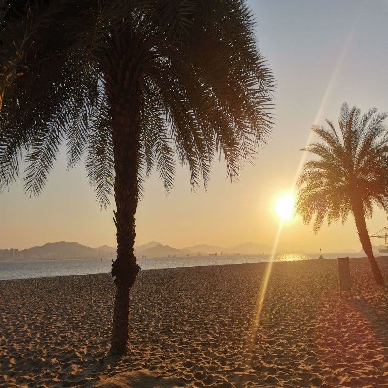 元旦春节假期可定 厦门自由行1-5日 厦门湖滨南路希尔顿欢朋酒店3晚4日 可选其他酒店