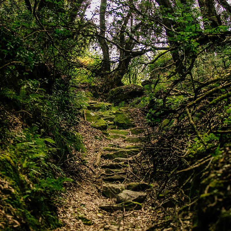 【2-8人高端小团】保山芒市瑞丽腾冲6日游 高黎贡山徒步 和顺古镇
