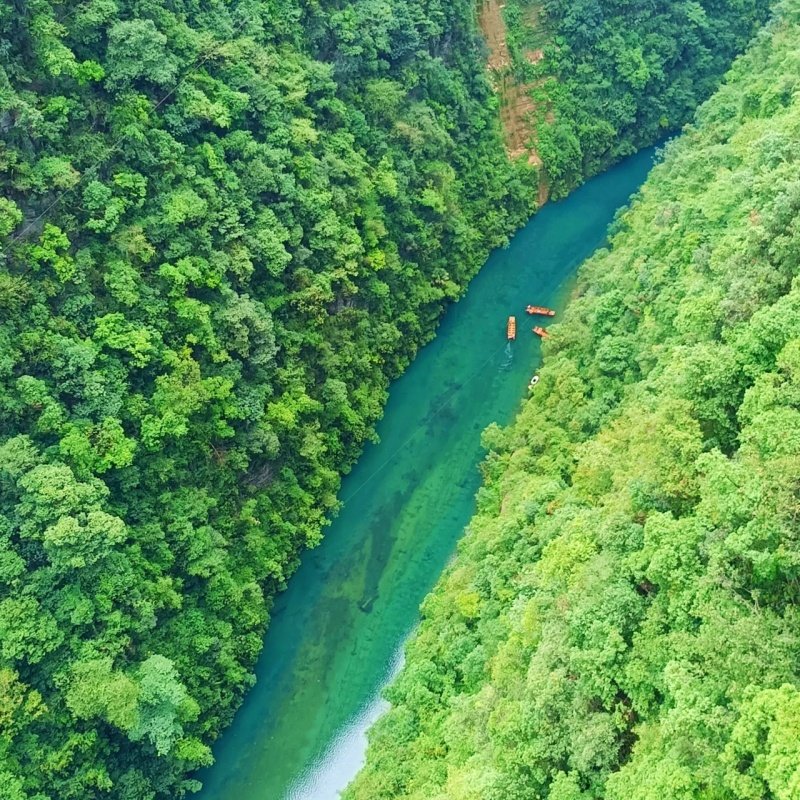 【2-8人拼小团】湖北大全景10日游|宜昌三峡+恩施+神农架+武当山 - 定制游预订