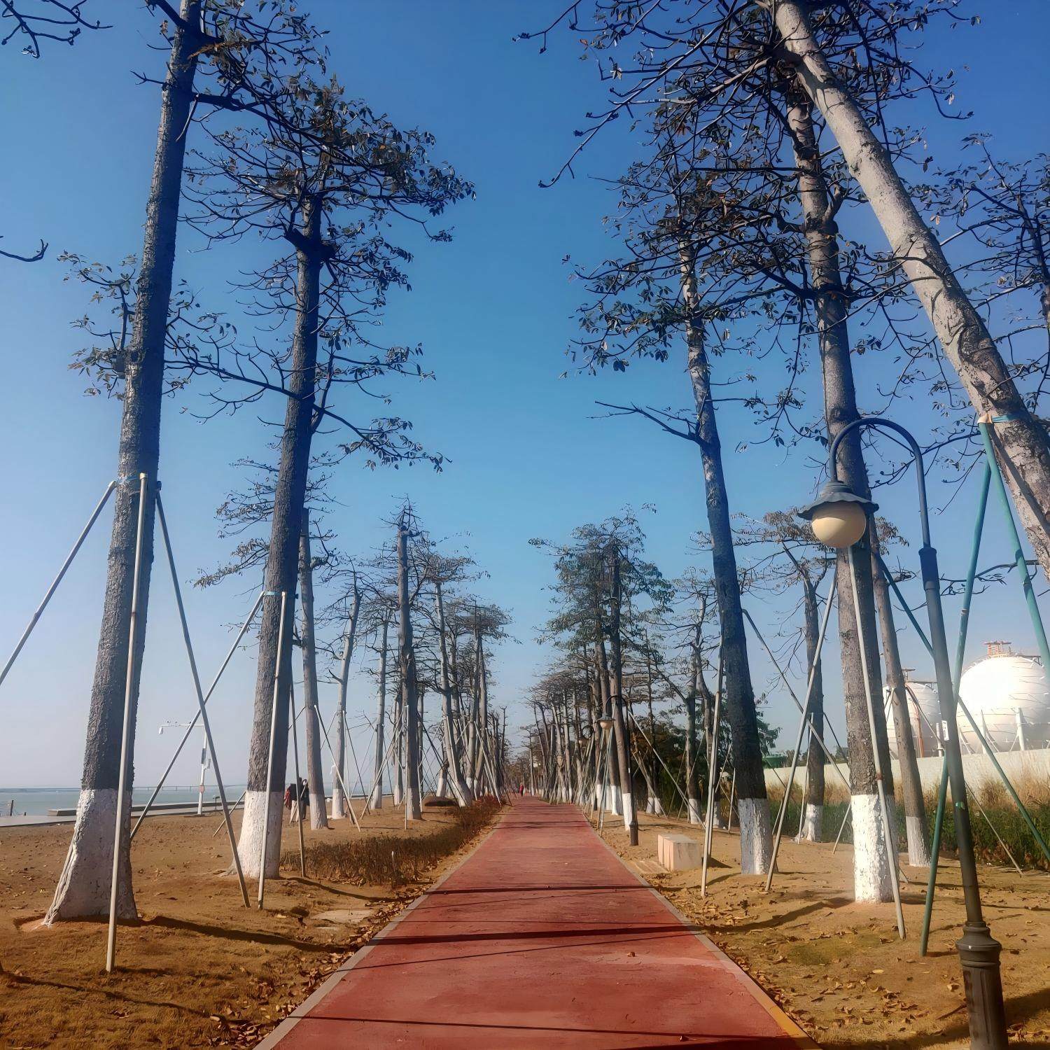 珠海拱北口岸电竞酒店住宿+珠海长隆海洋王国成人票