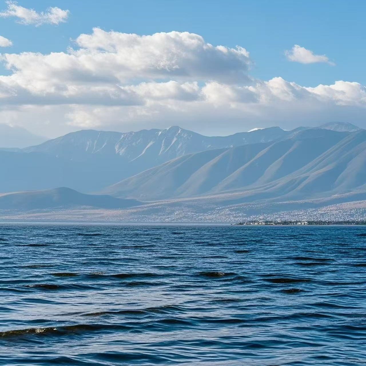 腾酒店(昆明穿金路世博园店)住宿+云南野生动物园成人门票