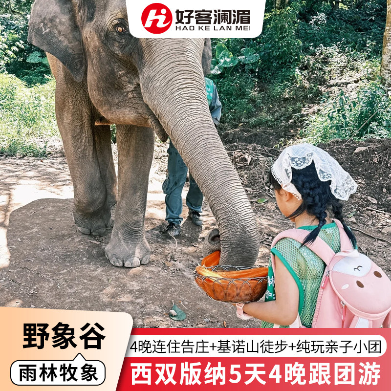 【雨林牧象】2-15人纯玩小团云南西双版纳旅游住告庄酒店亲子跟团 - 定制游预订