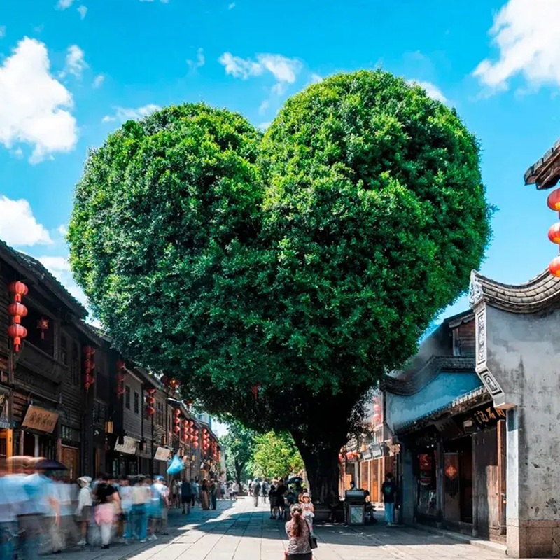 【乐享】福州三坊七巷地铁站高端酒店2天1夜+三坊七巷(严复故居+小黄楼 +水榭戏台) - 定制游预订