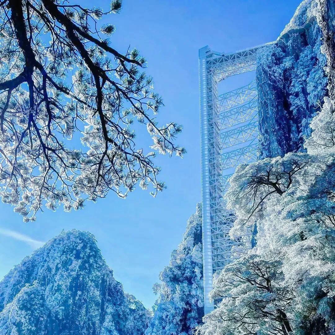 冬日【冰雪莽山1天游】莽山五指峰:最美雾凇+最长悬空栈道+缆车 - 定制游预订