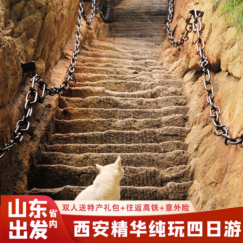 【限时送演出】山东省到西安旅游兵马俑华山大唐不夜城市内四日游 - 定制游预订