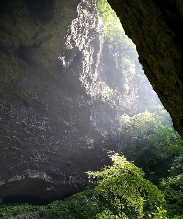 川洞庵