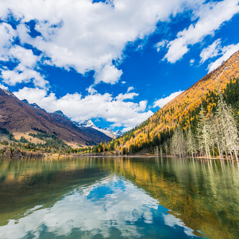 成都到四姑娘山双桥沟一日游纯玩直通车直达往返猫鼻梁拍照打卡 - 定制游预订