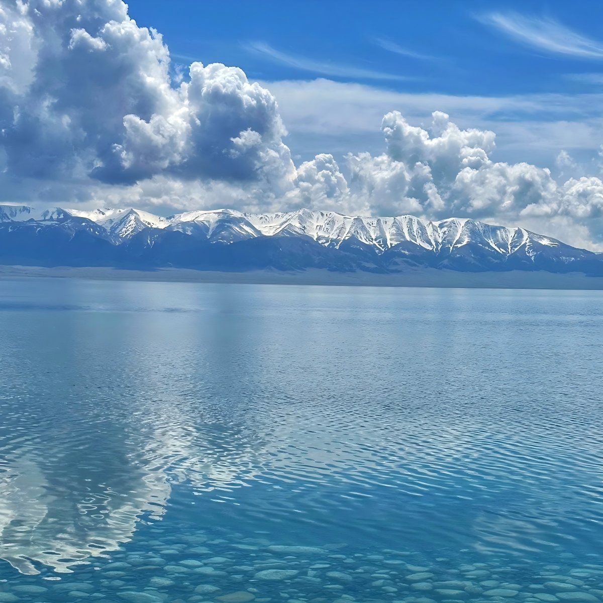 青岛海景观赏连住+青岛啤酒博物馆成人票1张