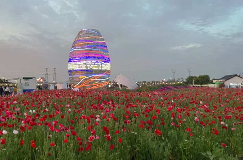 石淙花海·花田囍市图片