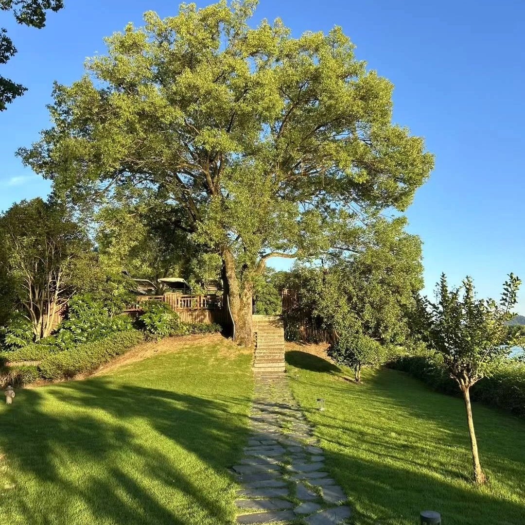 星禾高空海景酒店(日照万平口景区万达广场店)住宿+东夷小镇成人门票