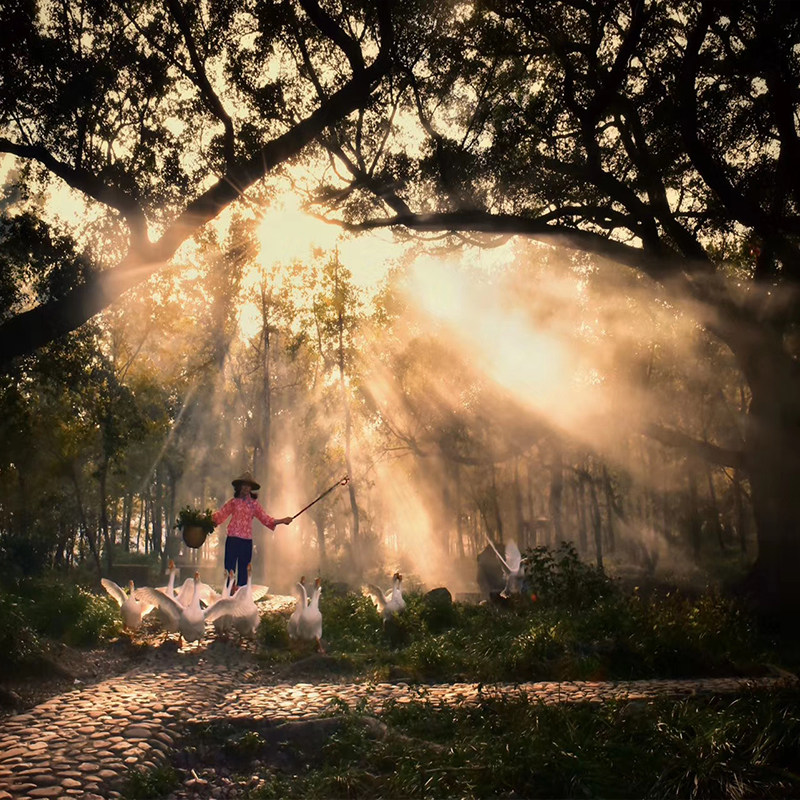 霞浦旅游摄影团5天4晚北岐滩涂 飘网小皓东壁 渔排人文风光摄影团 - 定制游预订