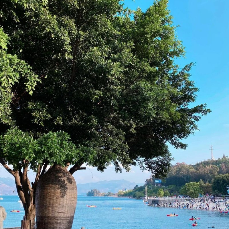 玉溪中维红塔大酒店多晚+明星鱼洞门票