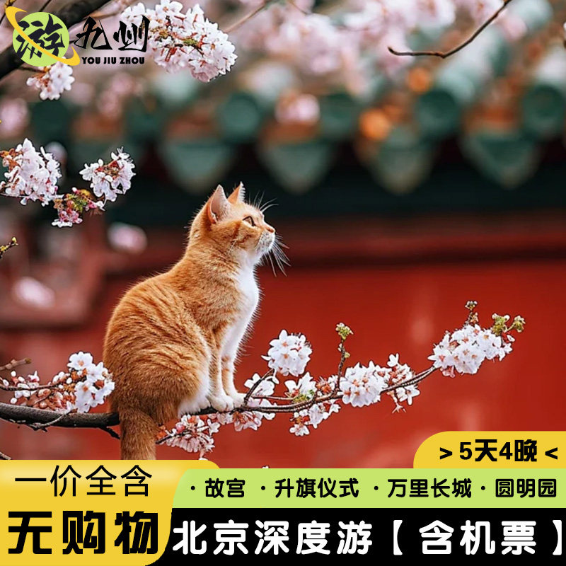 含机票无购物无自费北京旅游5天4晚故宫天安门升旗仪式八达岭长城 - 定制游预订