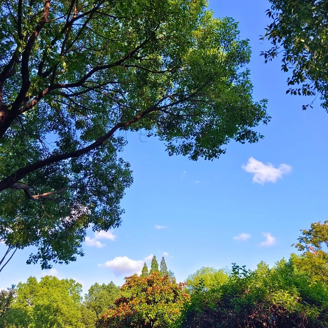 曲阜东方儒家花园酒店(三孔景区店)住宿+曲阜三孔景区成人门票