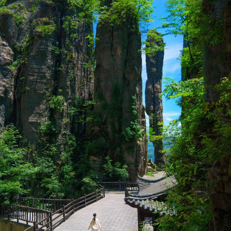 【湖北大环线|私家包车游】宜昌三峡+神农架+大九湖+恩施 6日游 - 定制游预订