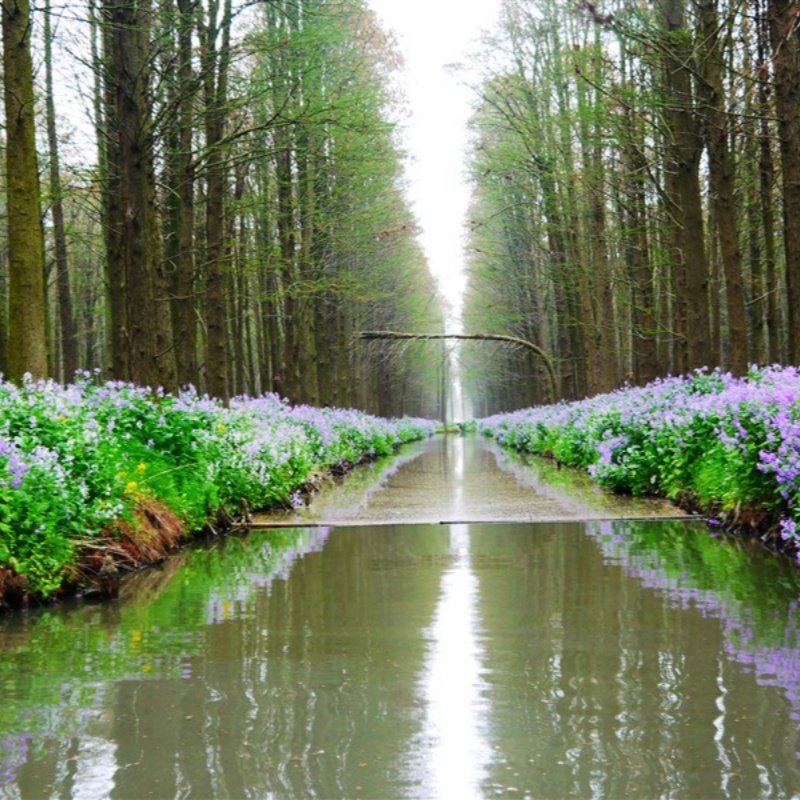 泰扬2日瘦西湖+李中水上森林公园+泰州老街+何园+凤城河 - 定制游预订