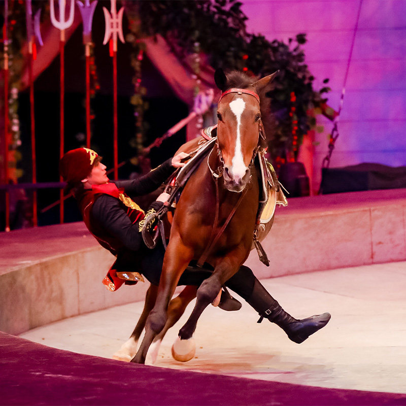 厦门旅游厦门海上明珠塔+灵玲马戏城一日跟团游 - 定制游预订