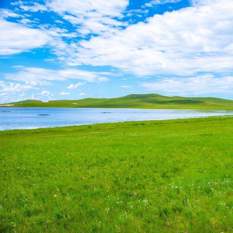 沙湖含大船+西夏陵+通湖草原含观光车+沙坡头+西夏陵+镇北堡5日游 - 定制游预订