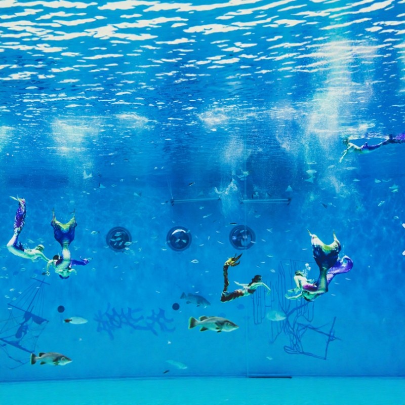 【无限次入园】2天1晚上海海昌海洋公园度假酒店/海昌奥特曼主题酒店+海昌海洋公园门票