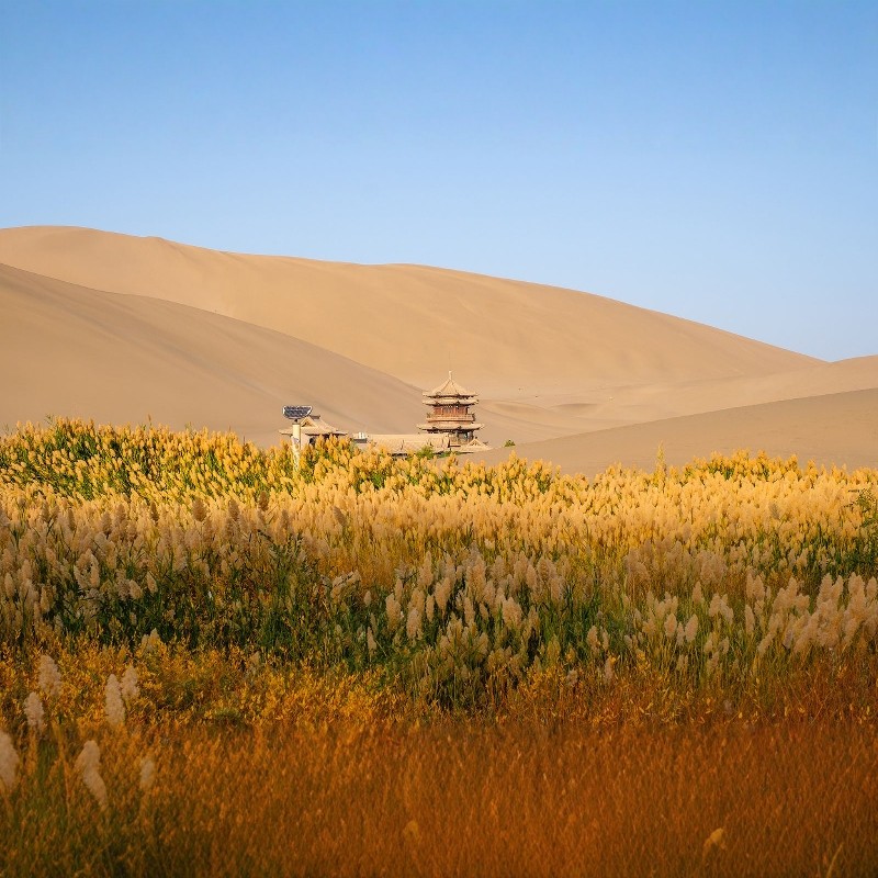 【寒假早鸟】敦煌国际酒店+鸣沙山月牙泉2天1晚自由行
