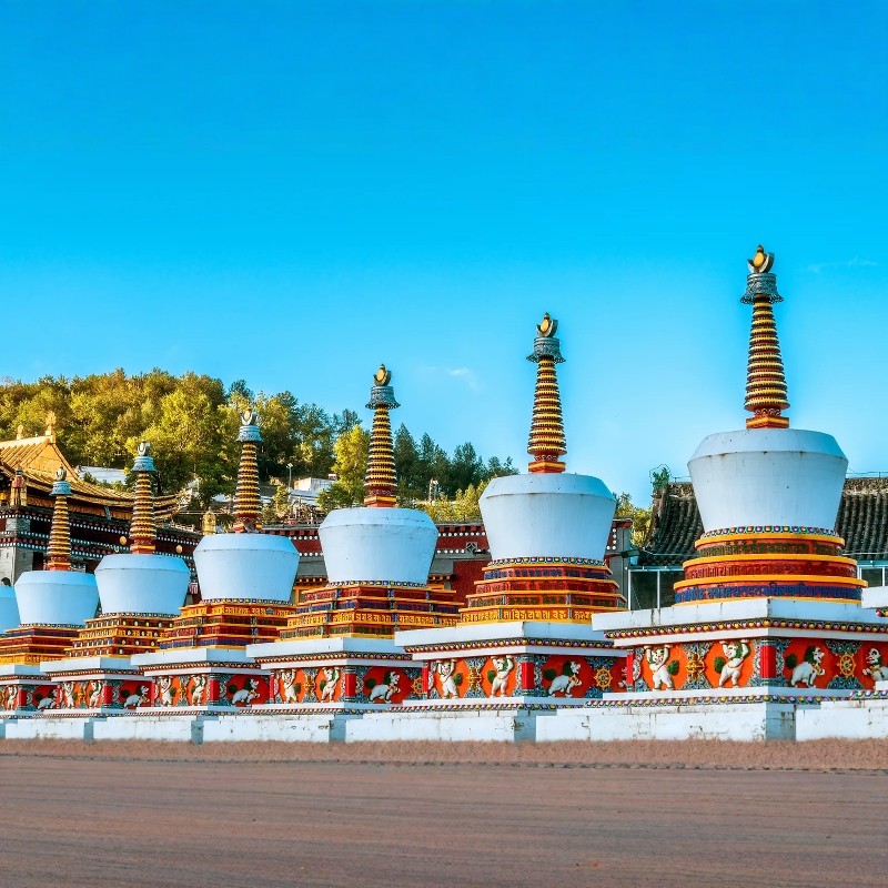 【中秋国庆】西宁博丽雅布酒店3天2晚+西宁新华联童梦乐园综合旅游度假区门票,塔尔寺