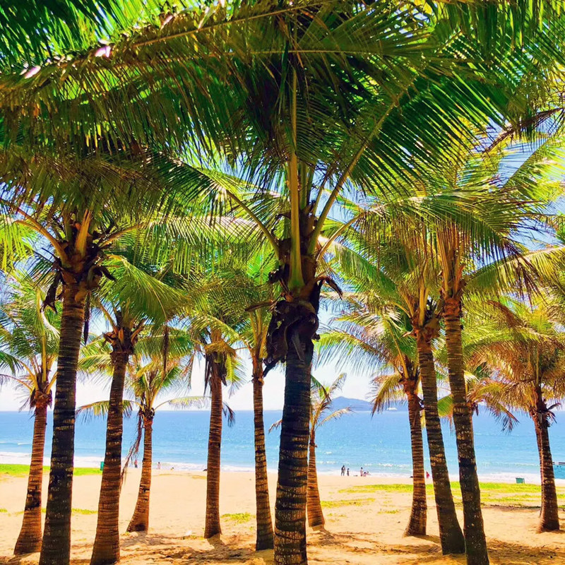 海南三亚自由行 亚龙湾红树林度假酒店 三亚香格里拉酒店 2天1晚 可定三亚或其他酒店 - 定制游预订