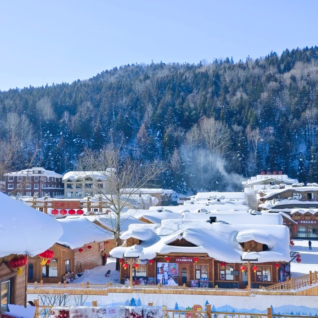 东北哈尔滨雪乡旅游长白山延吉滑雪体验5天4晚跟团游 - 定制游预订